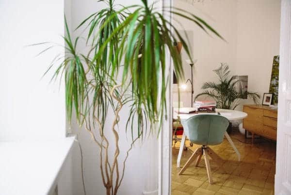 Owner Finance Homes With No Bank Approvals
