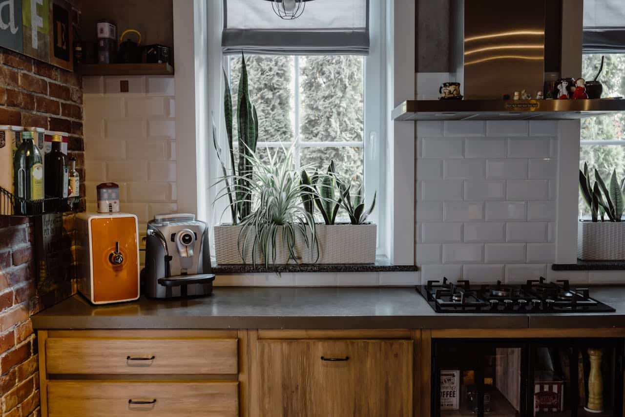 Modern kitchen countertop with coffee machine, orange water dispenser, and potted plants near window, reflecting a cozy home environment.