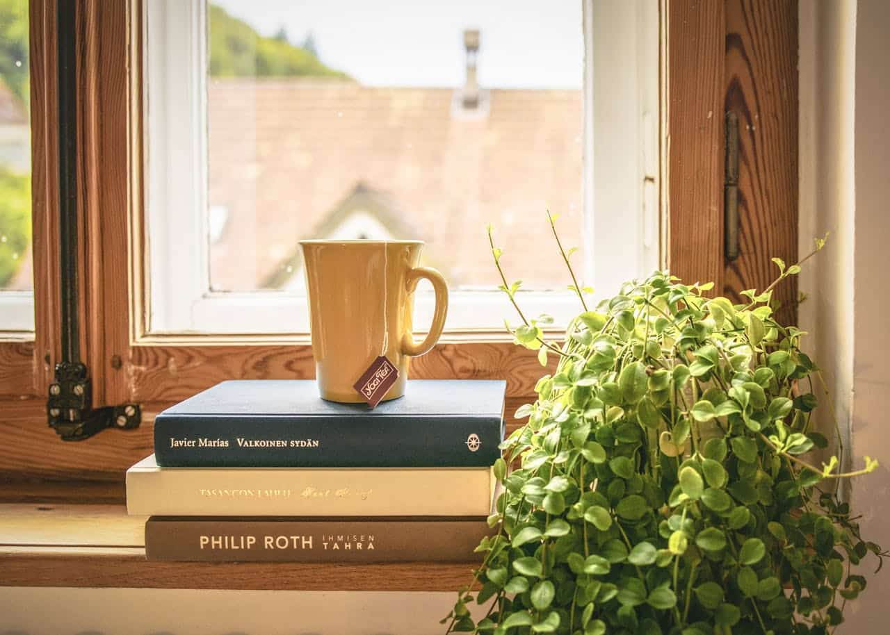 Mug on stacked books by a window with a plant, symbolizing a cozy reading space.